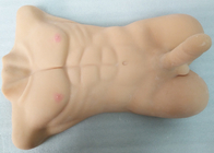 O meio homem do músculo sexo da novidade de 7 polegadas brinca a boneca realística do amor do pênis